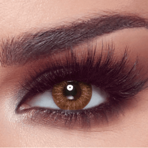 Bella One Day - Pack of 10 - Almond Brown