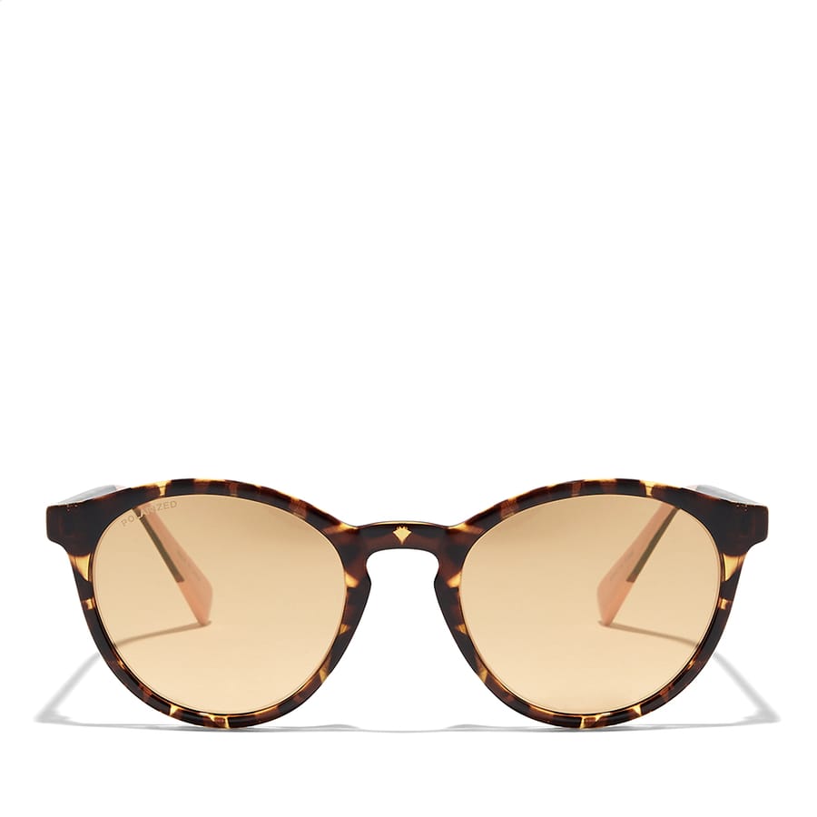Round tortoise shop shell sunglasses